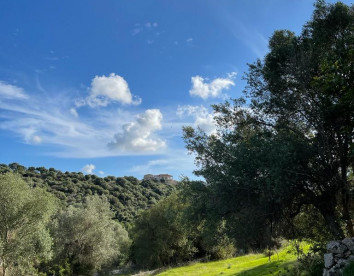 Oasi di pace nel verde