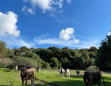Oasi di pace nel verde