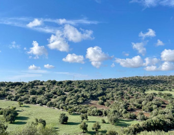 Oasi di pace nel verde