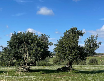 Oasi di pace nel verde
