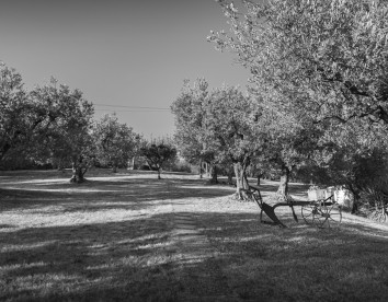 La Rocca Assisi