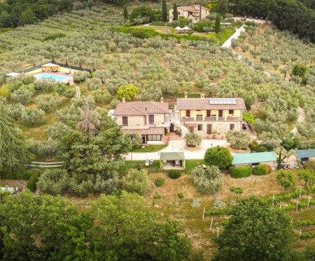 Farm-house La Rocca Assisi - Assisi