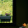 preview image17 interni