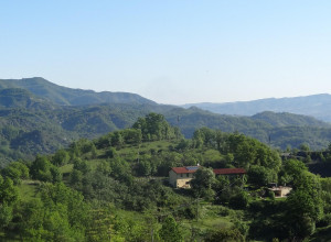 image3 Verdita