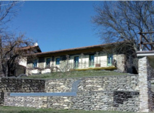 image11 Verdita