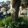 preview image14 giardino