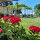 preview image17 giardino