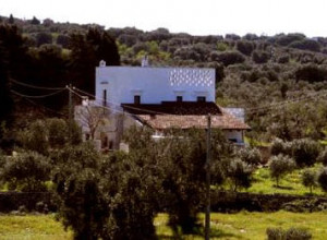 image7 Bellolio In Masseria Acciano