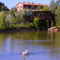 Cameli Guido