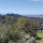 preview image1 esterno