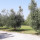 preview image1 esterno