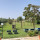 preview image10 giardino