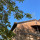 preview image2 esterno