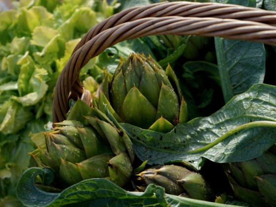 Lavanda in Fiore foto nostri_prodotti 18