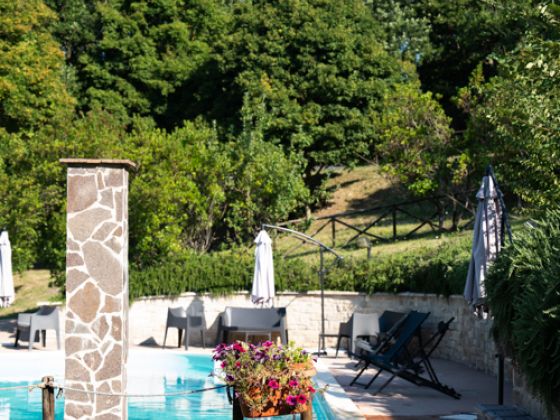 Castel D'Alfiolo - Barcomonte  4470 - foto 13