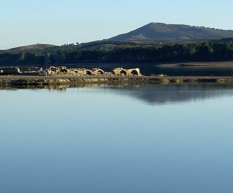 Tenuta Donna Maria