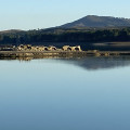 Tenuta Donna Maria