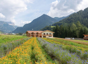 Ecogreen Fiores - Lernbauernhöfe