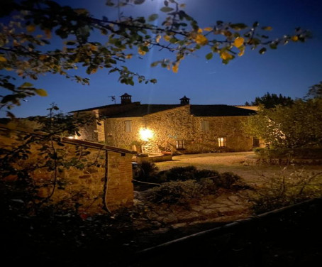 Domus Etrusca