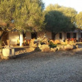 Iloghe