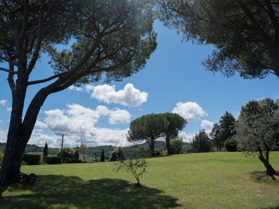 Aia Leccioni - foto 9