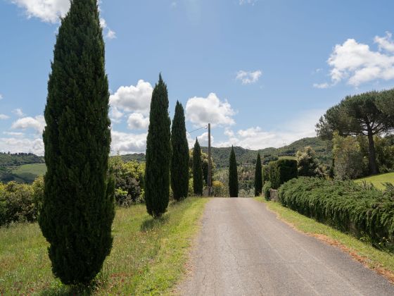 Aia Leccioni - foto 8