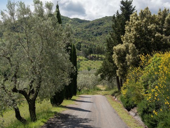 Aia Leccioni - foto 7