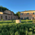 Fornace Del Conte