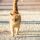 preview image8 gatti
