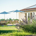 Podere Zampiera Vecchia