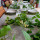 preview image11 esterno