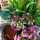 preview image15 esterno