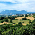 La Primavera