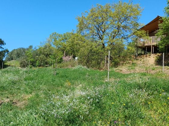 Podere Angiotto AgriSportGlamping - foto 20