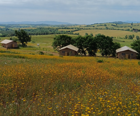 Podere Angiotto AgriSportGlamping