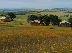 Podere Angiotto AgriSportGlamping