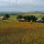 Podere Angiotto AgriSportGlamping