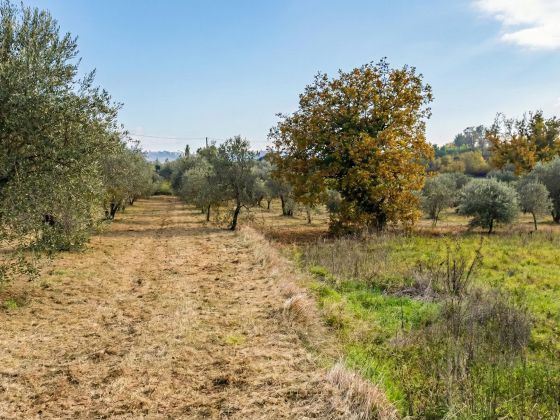 VioVillas Agriturismo Glamping Arezzo - foto 19