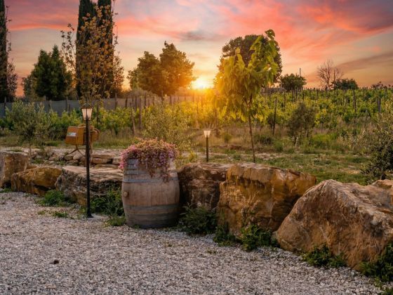 VioVillas Agriturismo Glamping Arezzo - foto 22