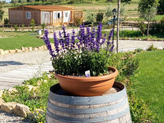 VioVillas Agriturismo Glamping Arezzo — Family package 