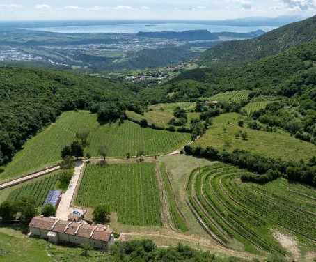 Poderi Campopian