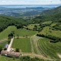 Poderi Campopian
