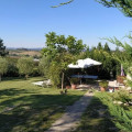 Il Lavandeto
