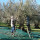 preview image7 esterno