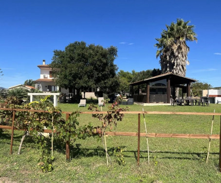 Foto Ferienbauernhof B&B Graziano E Barbara - Sassari