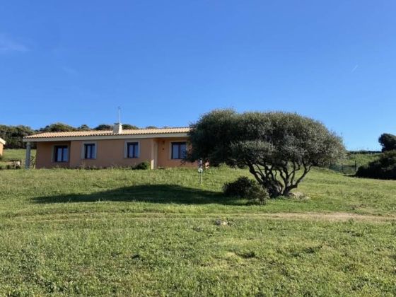Gli Olivastri - foto 4