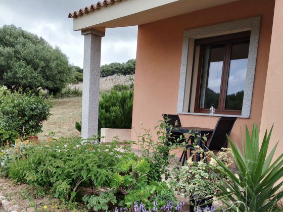Gli Olivastri - foto 5