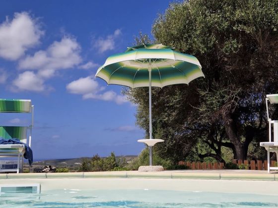 Gli Olivastri - foto 3