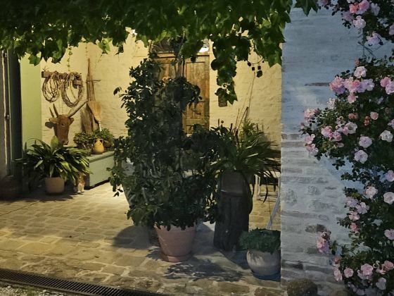 Poggio Dei Prugnoli - foto 3