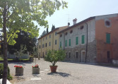 Albarello